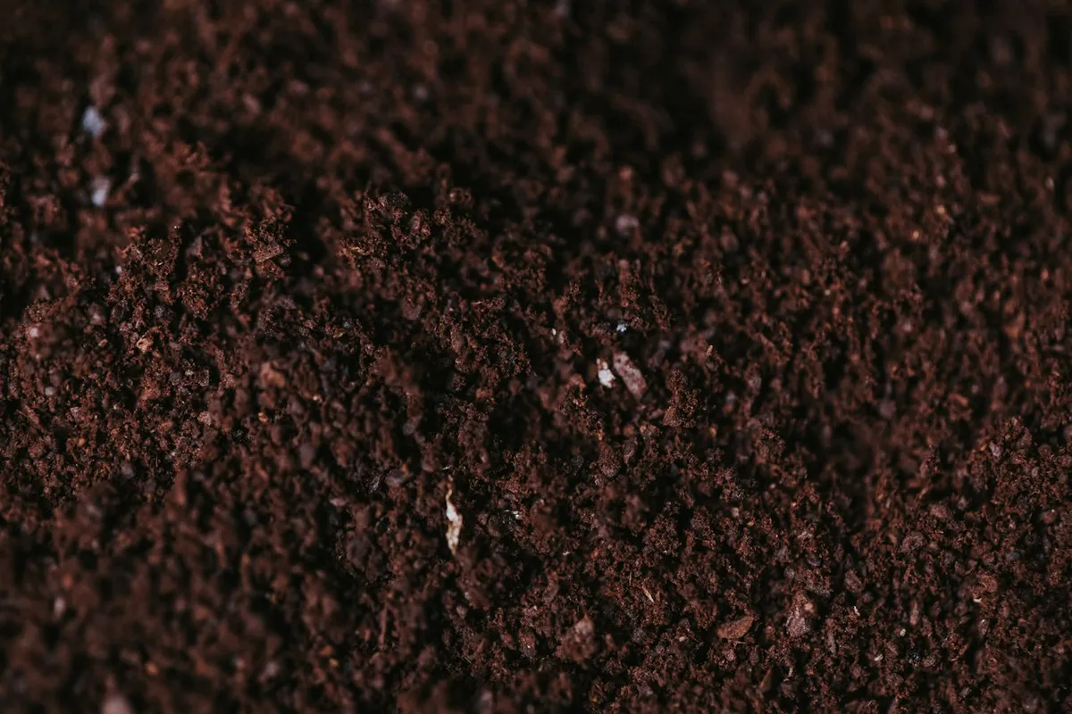 A close view of brown soil.