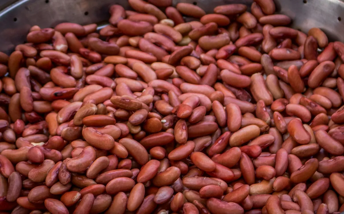 A pile of dried red kidney beans.
