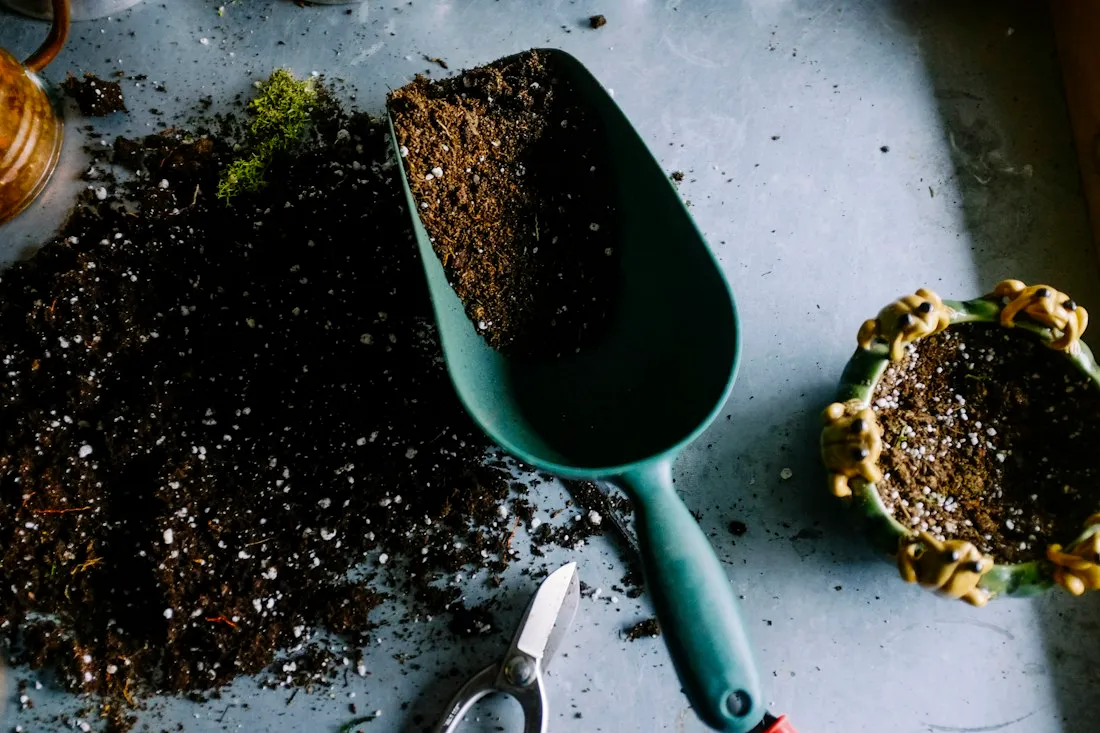 Potting mix, a hand scoop and small plant containers on a work surface