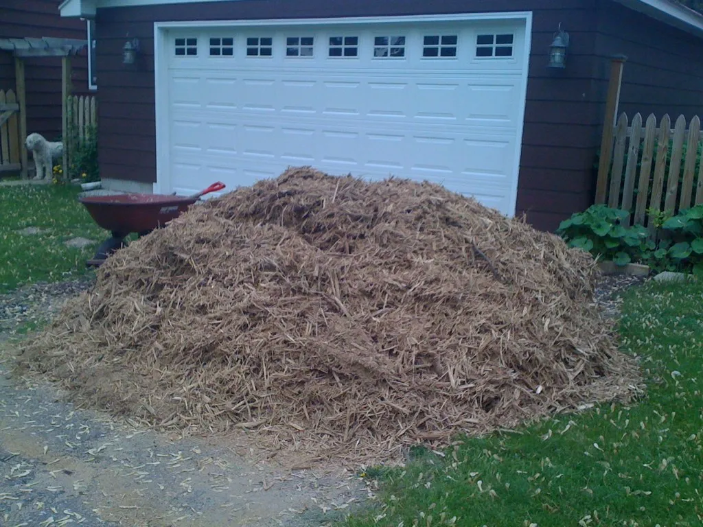 A pile of wood chips awaiting use as garden mulch.